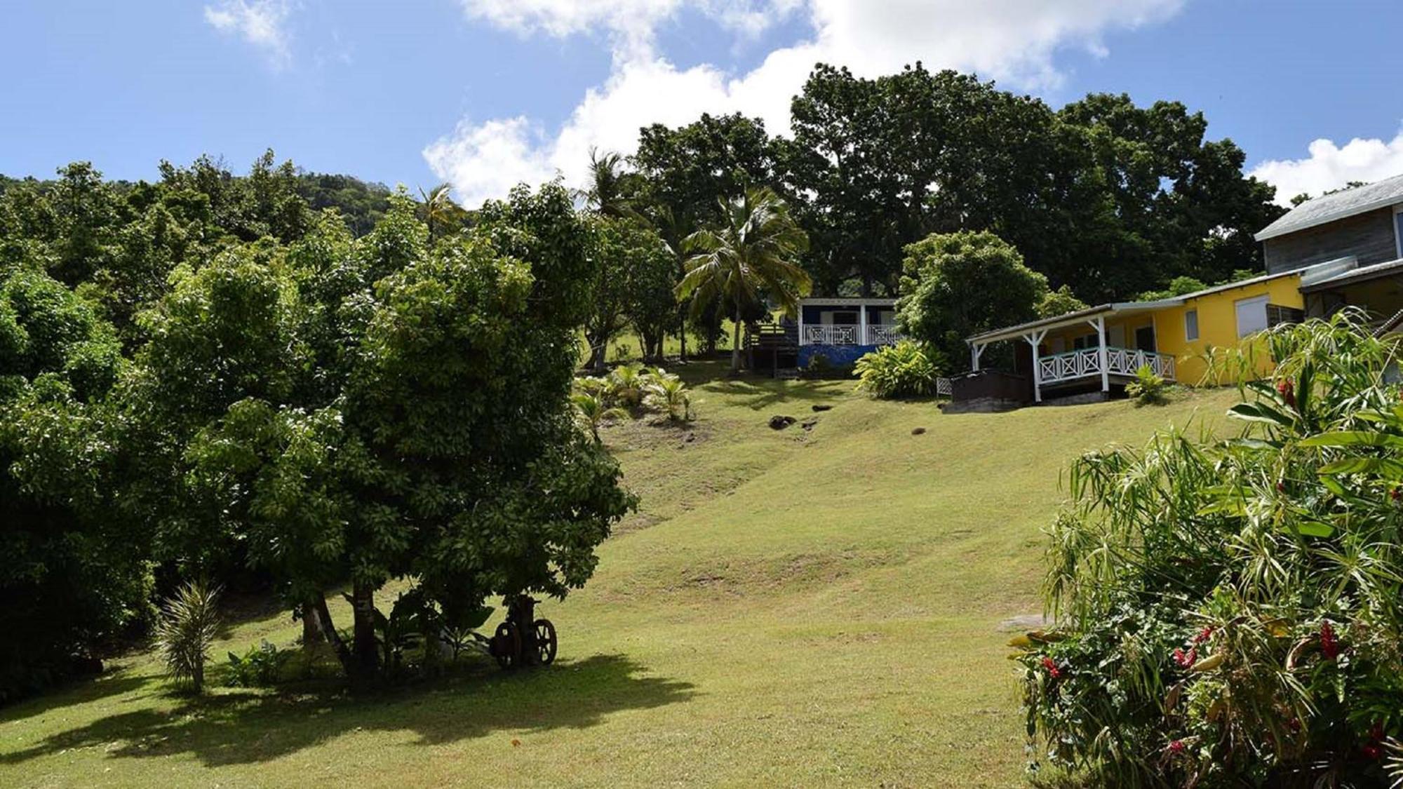 Villa Habitation Pineau Deshaies Exterior foto