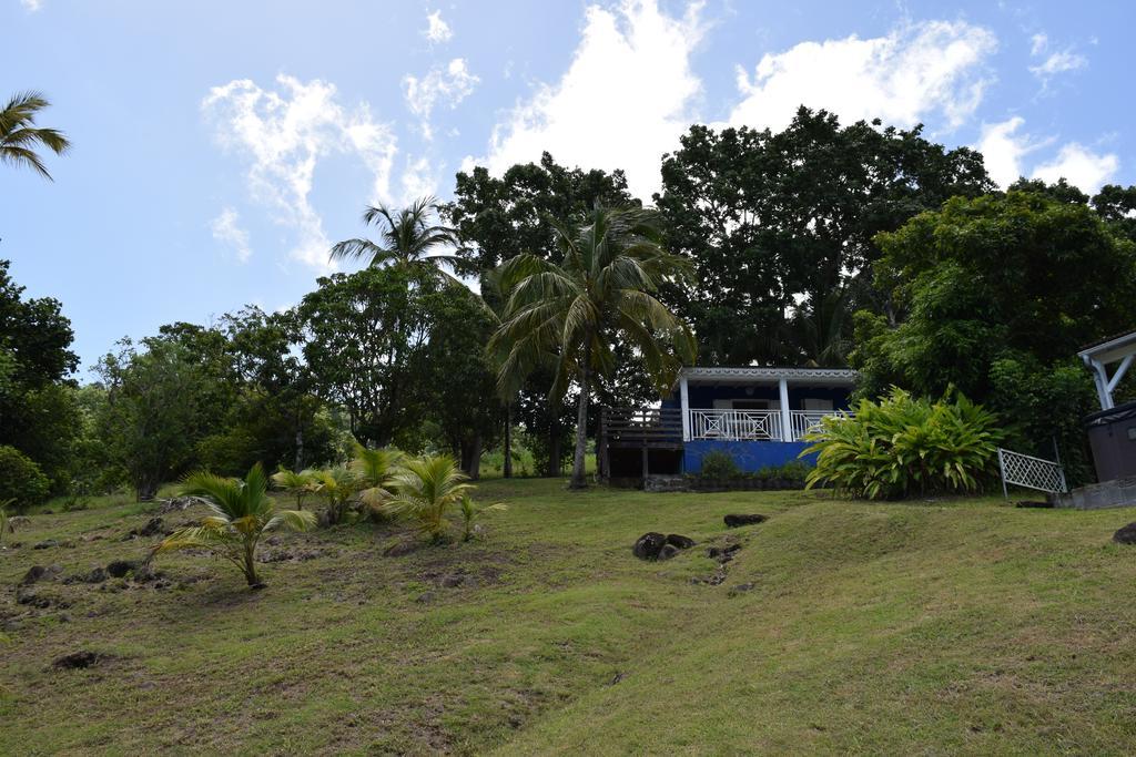 Villa Habitation Pineau Deshaies Exterior foto