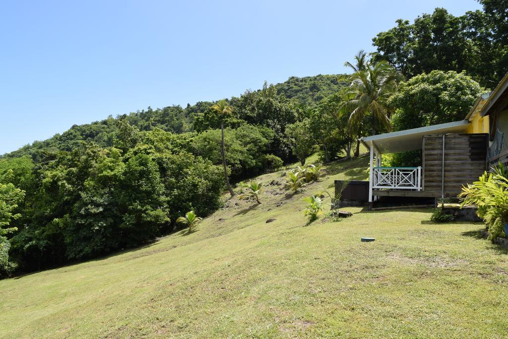 Villa Habitation Pineau Deshaies Exterior foto